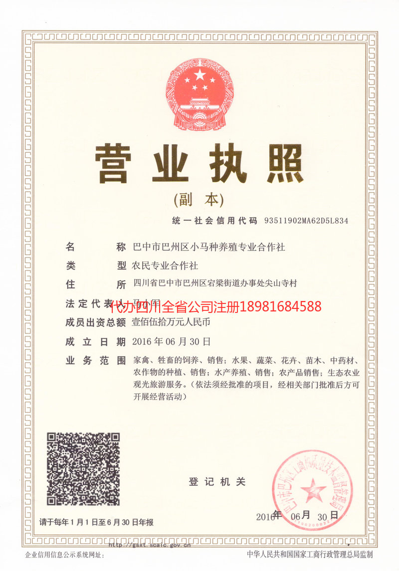 安陆安陆小马种养殖专业合作社